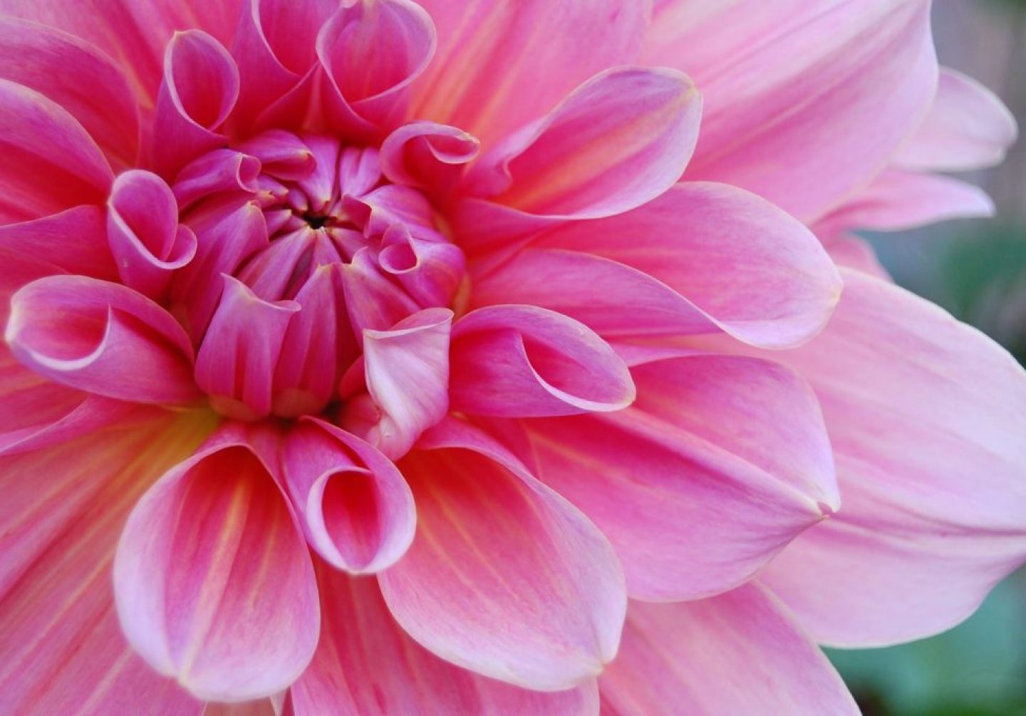 Header Right Pane Header Right Pane