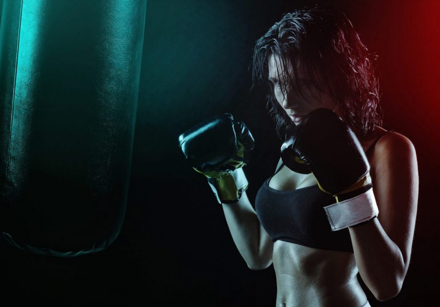 The Boxer The Boxer