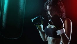 The Boxer