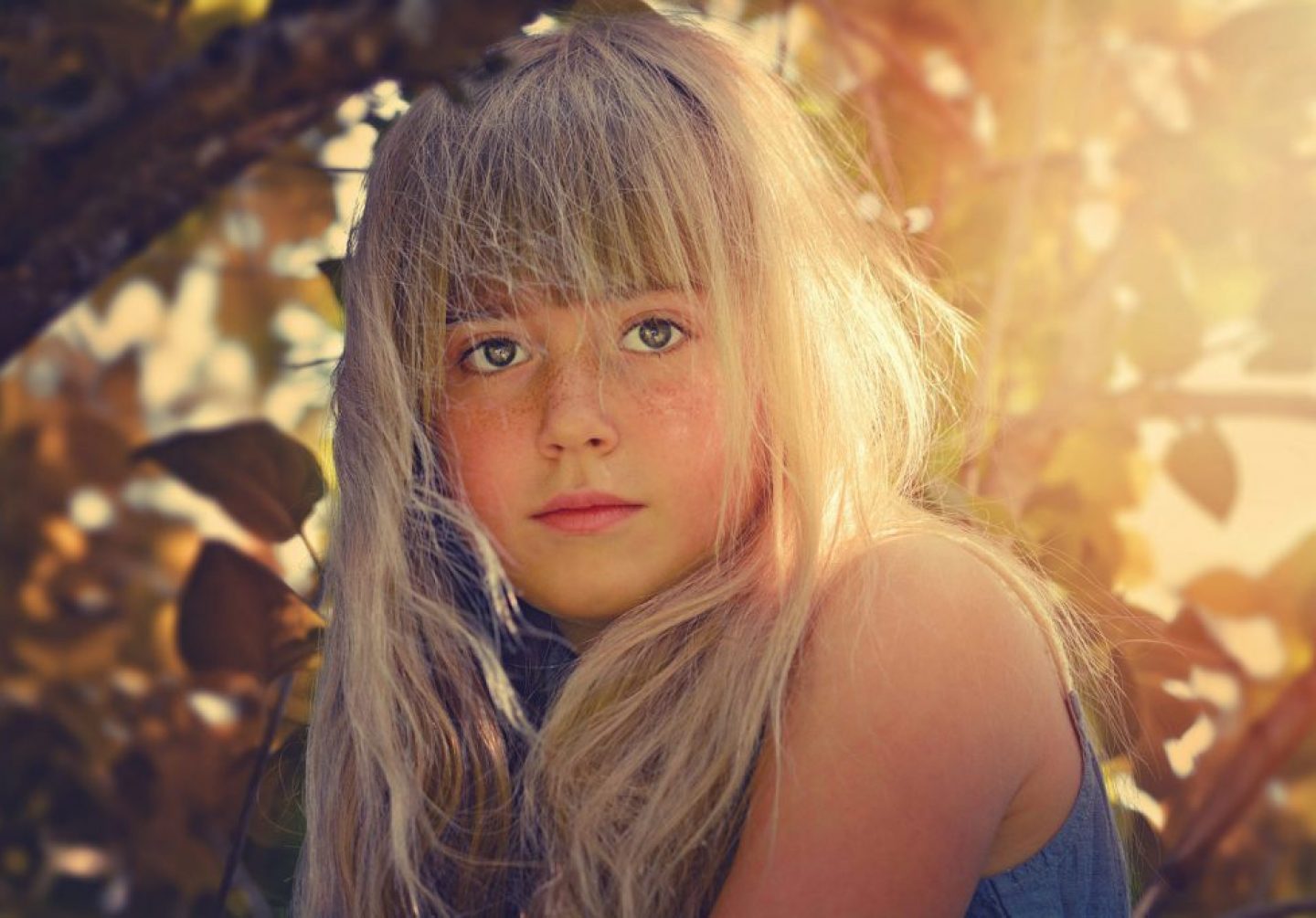 The Girl in The Forest