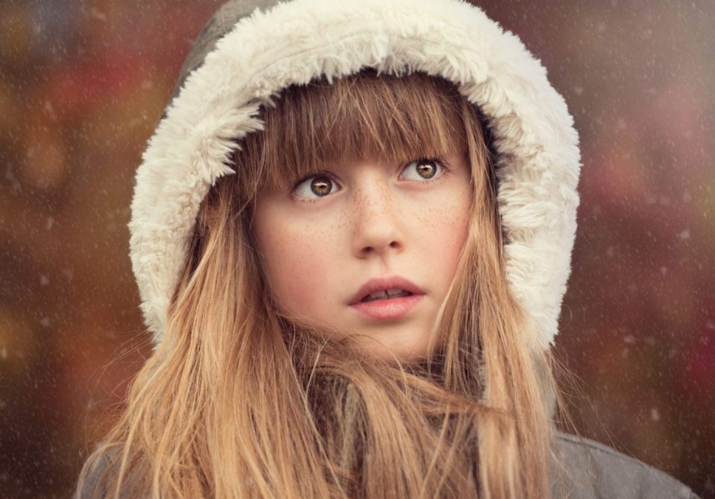 Under The Snow Under The Snow